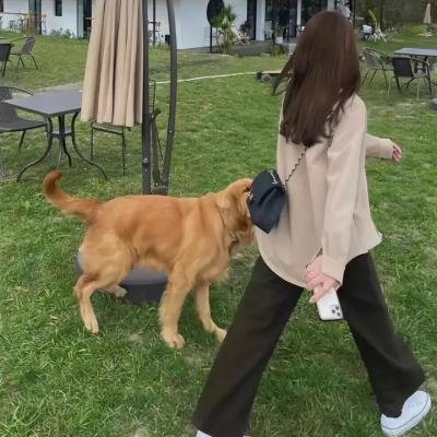 倾城歌手